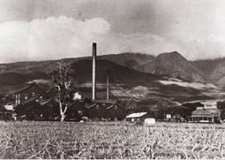 Pioneer Mill